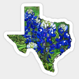 Texas Bluebonnets Sticker